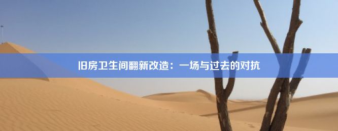 旧房卫生间翻新改造：一场与过去的对抗