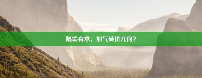 隔墙有术，加气砖价几何？