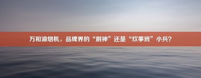 万和油烟机，品牌界的“厨神”还是“炊事班”小兵？