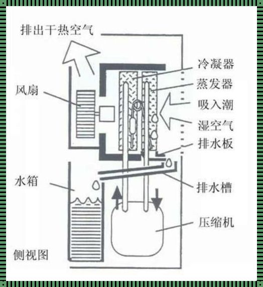 《空调界的小透明，揭秘“除湿”那点事儿》