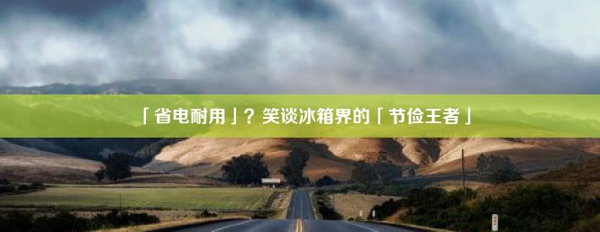 「省电耐用」？笑谈冰箱界的「节俭王者」