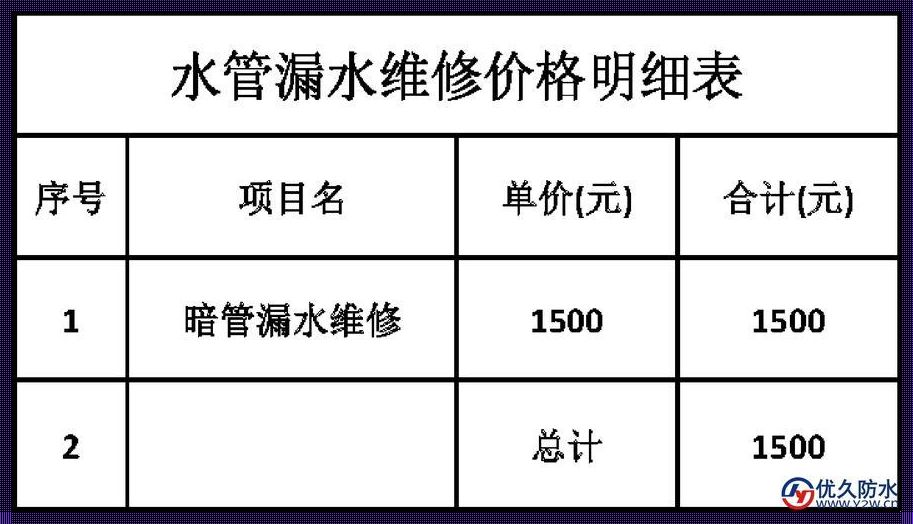 【水管漏水量钱包瘦身】费用几何？笑谈修理那些事儿