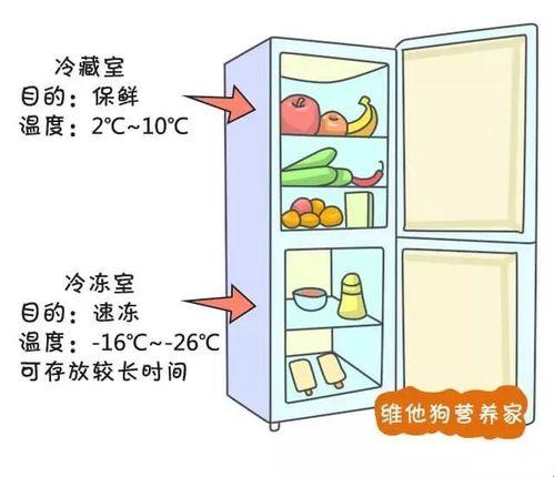 《冰箱里的冰火两重天：谁在冷藏谁在冷冻？》