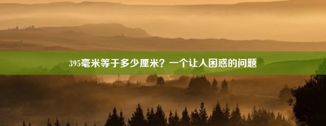 395毫米等于多少厘米？一个让人困惑的问题