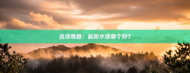 选漆难题：晨阳水漆哪个好？