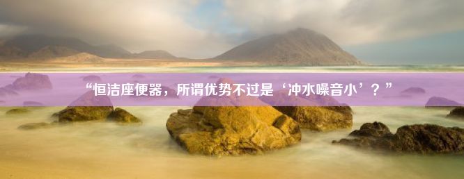 “恒洁座便器，所谓优势不过是‘冲水噪音小’？”