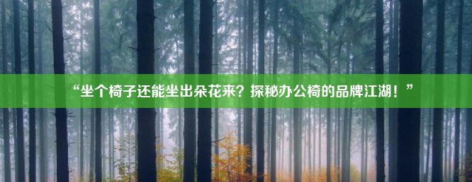 “坐个椅子还能坐出朵花来？探秘办公椅的品牌江湖！”