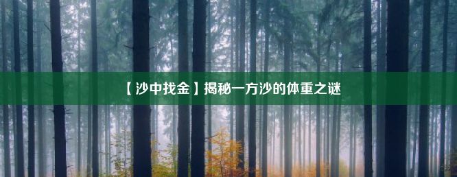 【沙中找金】揭秘一方沙的体重之谜