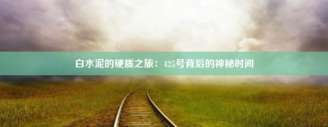 白水泥的硬质之旅：425号背后的神秘时间