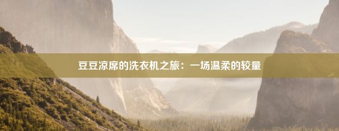 豆豆凉席的洗衣机之旅：一场温柔的较量