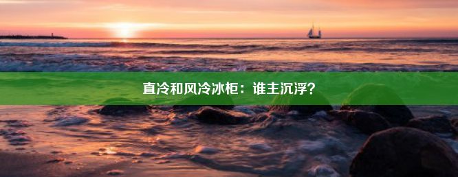 直冷和风冷冰柜：谁主沉浮？