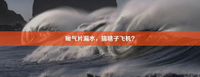 暖气片漏水，搞啥子飞机？