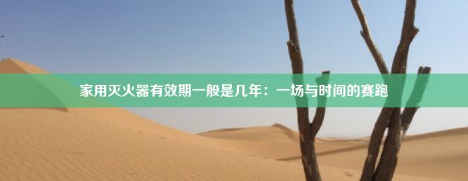 家用灭火器有效期一般是几年：一场与时间的赛跑