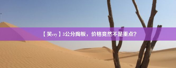 【笑cry】3公分陶板，价格竟然不是重点？