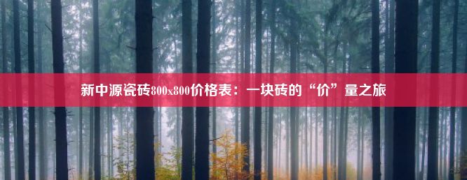 新中源瓷砖800x800价格表：一块砖的“价”量之旅