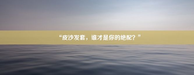 “皮沙发套，谁才是你的绝配？”