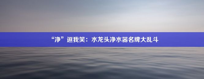 “净”逗我笑：水龙头净水器名牌大乱斗