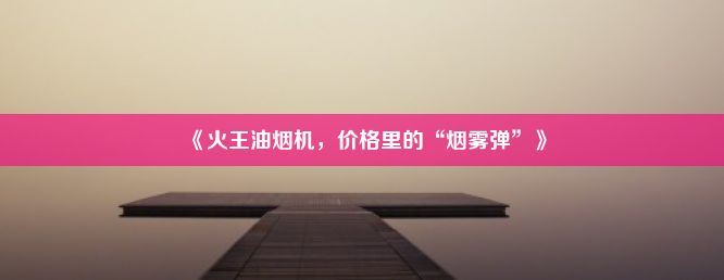 《火王油烟机，价格里的“烟雾弹”》