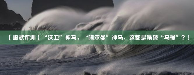 【幽默评测】“沃卫”神马，“陶尔曼”神马，这都是啥破“马桶”？！