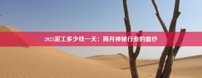 2023泥工多少钱一天：揭开神秘行业的面纱