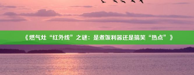 《燃气灶“红外线”之谜：是煮饭利器还是搞笑“热点”》