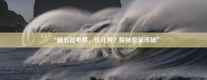 “破五层电梯，价几何？探秘荒诞市场”