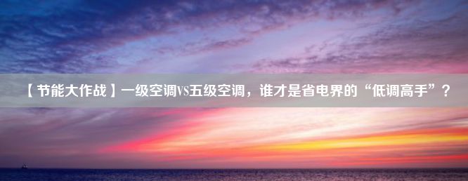 【节能大作战】一级空调VS五级空调，谁才是省电界的“低调高手”？