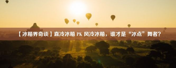 【冰箱界奇谈】直冷冰箱 PK 风冷冰箱，谁才是“冰点”舞者？