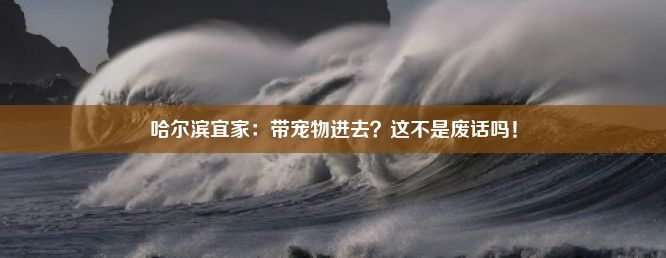 哈尔滨宜家：带宠物进去？这不是废话吗！