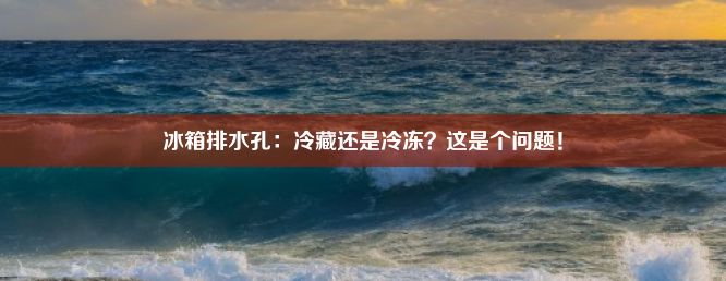 冰箱排水孔：冷藏还是冷冻？这是个问题！