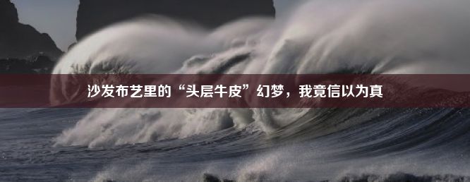 沙发布艺里的“头层牛皮”幻梦，我竟信以为真