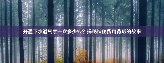 开通下水道气泵一次多少钱？揭秘神秘费用背后的故事