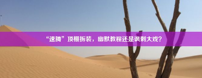 “速腾”顶棚拆装，幽默教程还是讽刺大戏？