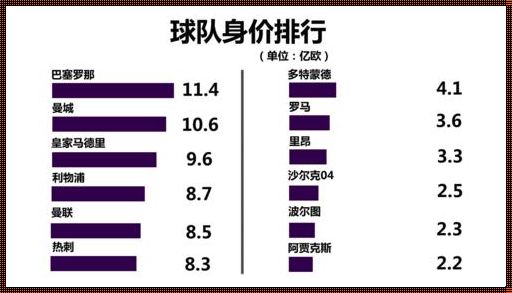 欧冠球队身价排行（在英超球队当中,球队身价最高的是哪一支?）