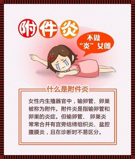 怎么查出附件炎（盆腔炎附件炎子宫内膜炎做什么检查）