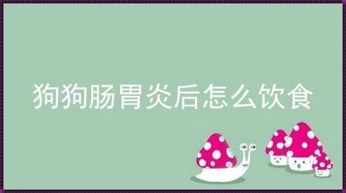 急性肠炎禁食多少时间 小泰迪拉稀能禁食多久啊?