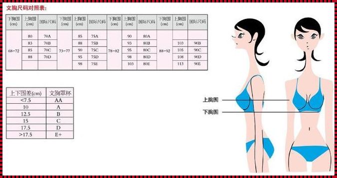 罩杯之谜：胸围 86 属于哪个杯？