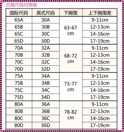 罩杯之谜：胸围 86 属于哪个杯？