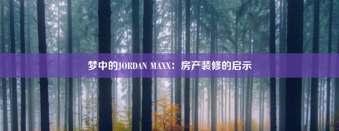 梦中的JORDAN MAXX：房产装修的启示