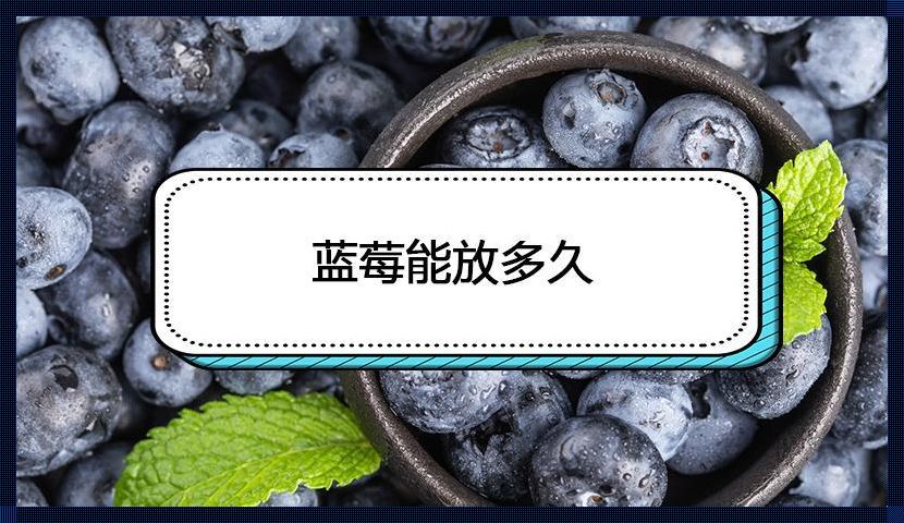 蓝莓贮藏之议——是否需要冰箱？