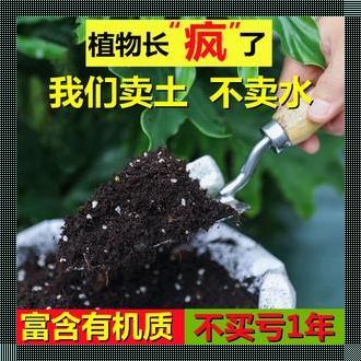 阳台种菜达人教你如何选择最佳有机肥料