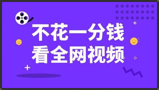 免费观看视频之修缮盖一栋小楼的艺术鉴赏