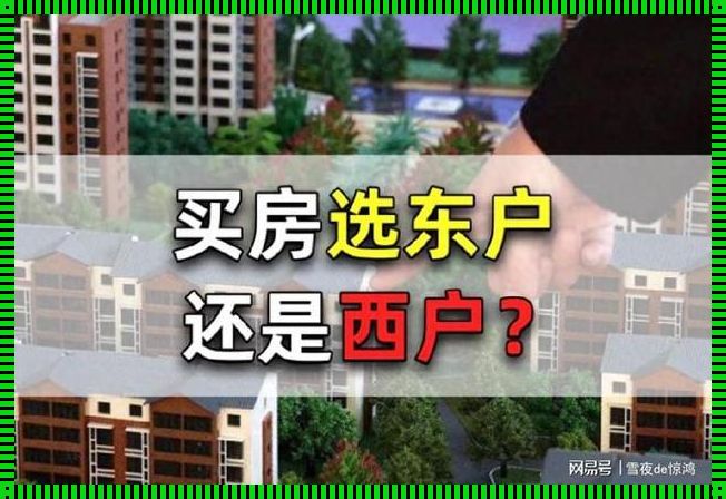 《探讨“为何买房买西不买东”背后的文化与技术因素》